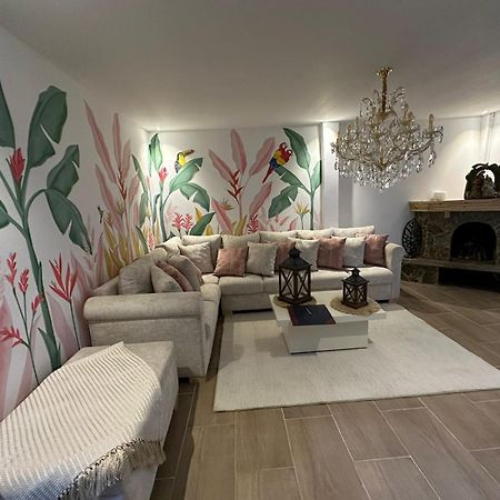 Casa Colonial Filandia Apartment Ngoại thất bức ảnh